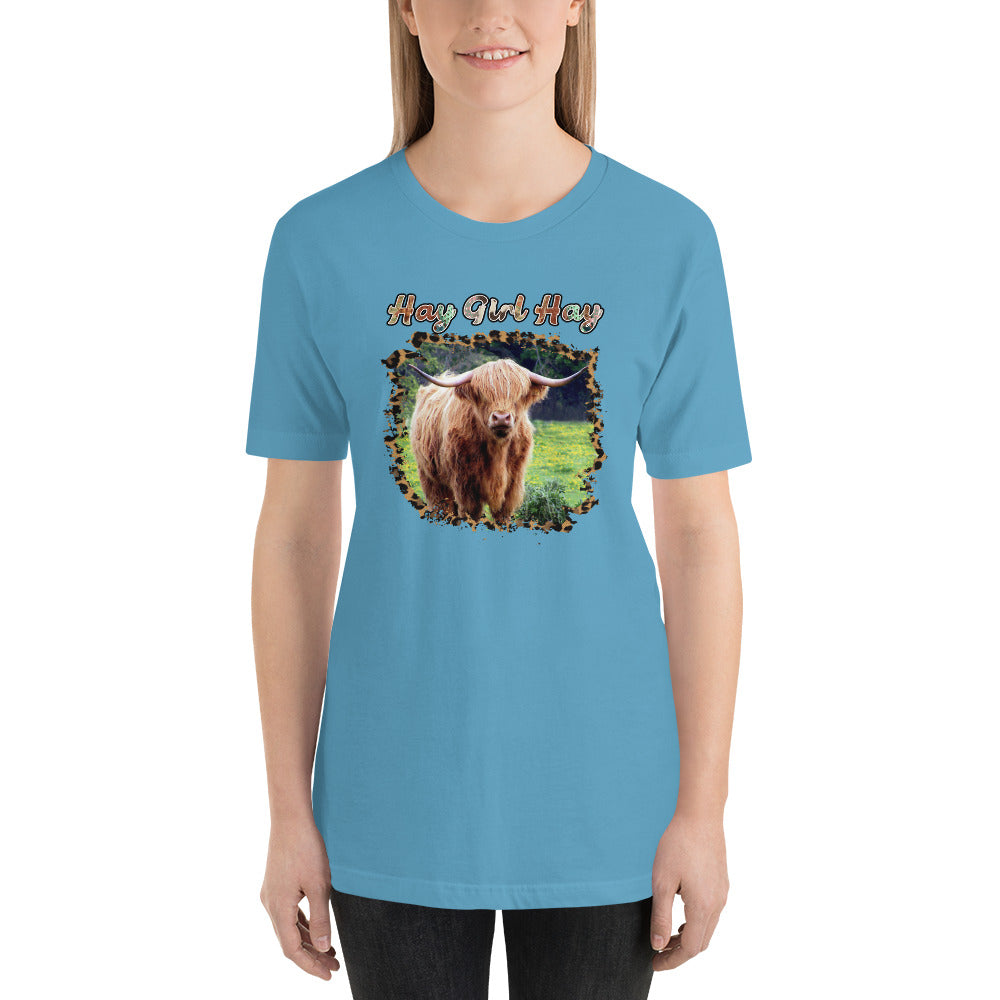 Hay Girl Hay Cow Country Unisex t-shirt